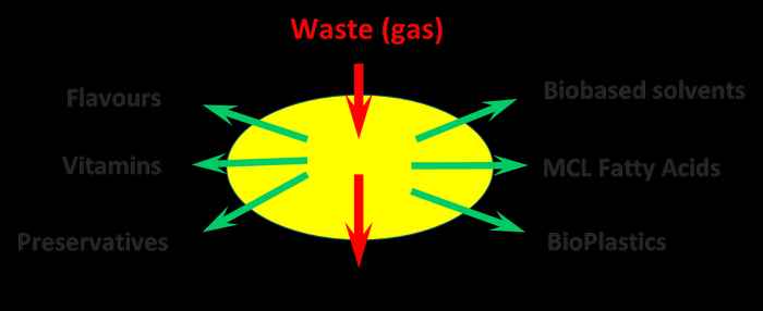 Biobased production of various useful chemicals