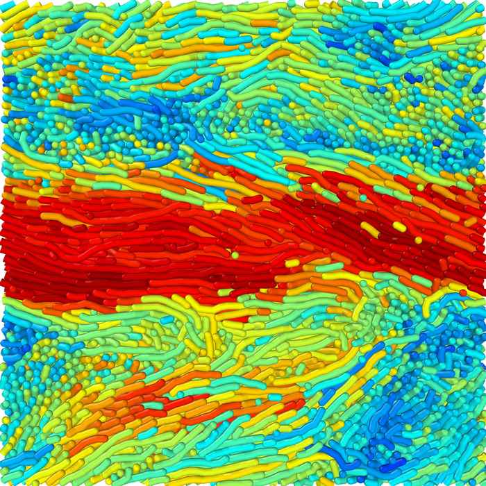active filaments