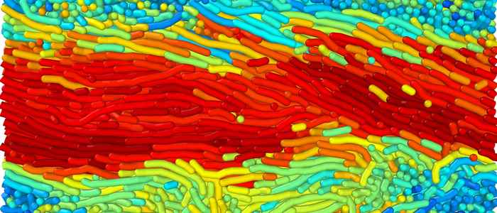 active filaments